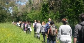 14.04.2019 -- YOGA e PASSEGGIATA NATURALISTICA ---  OASI WWF  Macchiagrande – Fregene