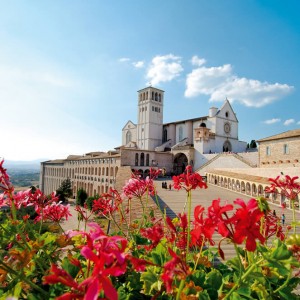 assisi