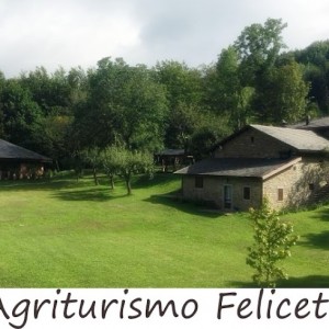 foto-il-feliceto